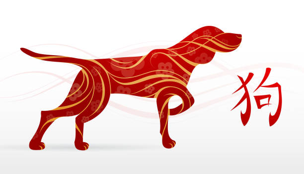 Dog as symbol of 2018 by Chinese zodiac Dog as a symbol of 2018 by Chinese zodiac (hieroglyph: Dog) dhole stock illustrations