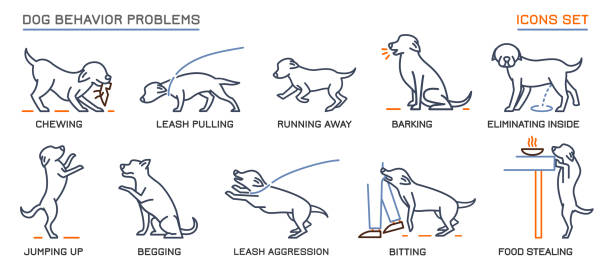 Dog Behavior Problems Icons Set Dog behavior icons set. Domestic animal or pet language. Chewing, begging, biting, food stealing. Doggy reaction. Simple icon, symbol, sign. Editable vector illustration isolated on white background aggression stock illustrations