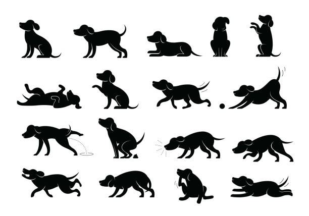 Dog Behavior Silhouette Set vector art illustration
