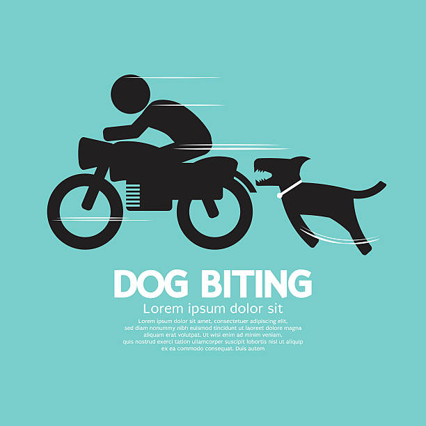 Dog Bite Illustrations, Royalty-Free Vector Graphics ...
