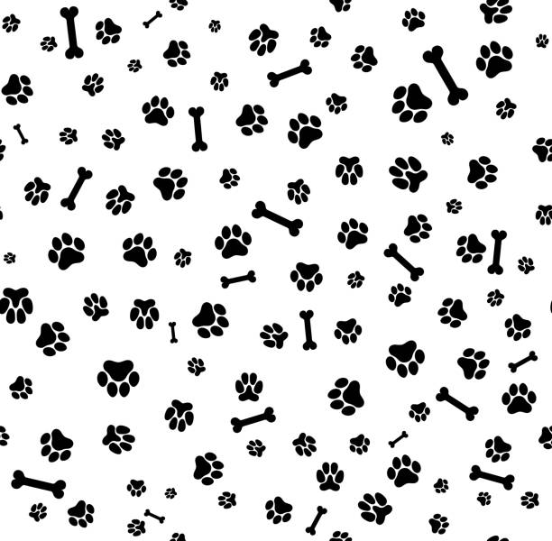 Best Dog Paw Print Illustrations, Royalty-Free Vector Graphics & Clip