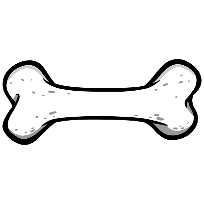 Dog Bone Illustration