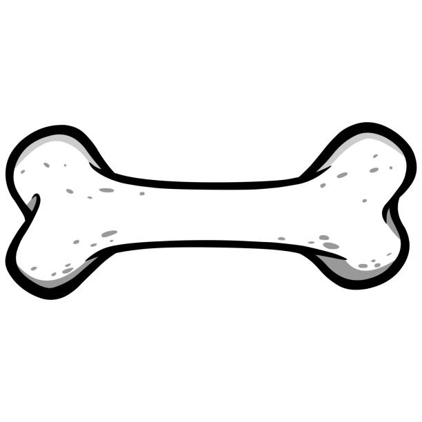Dog Bone Illustration A vector cartoon illustration of a Dog Bone. bone stock illustrations