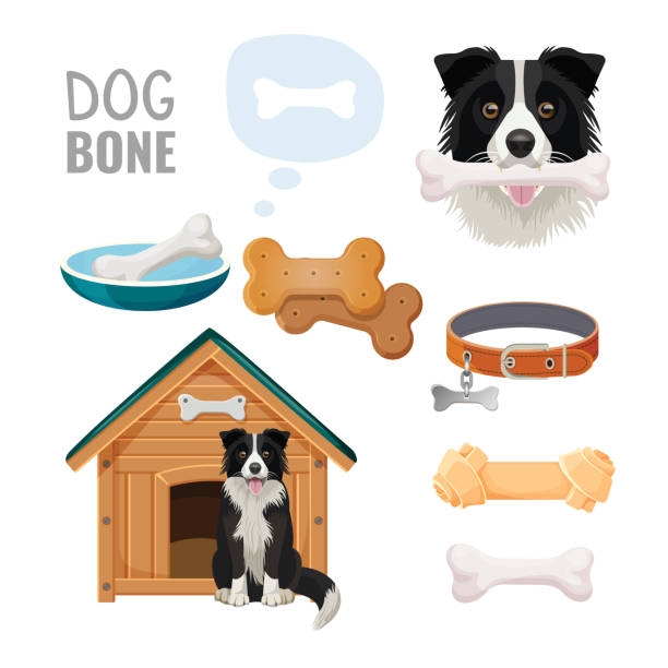 Dog bone promotional poster of zoo market goods Dog bone promotional poster of zoo market goods with Border Collie that sits beside wooden doghouse and holds toy in teeth isolated vector illustrations set. dog borders stock illustrations