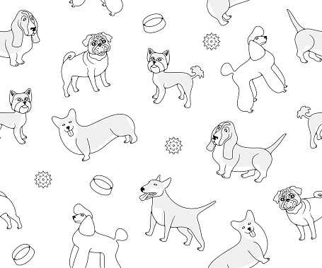 Dog breeds, poodle, pug and yorkshire terrier, seamless vector background in outline. Animal, pets, basset hound, welsh corgi and miniature bull terrier, vector design