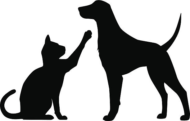 Dog Cat Play vector art illustration