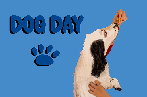 Dog day poster