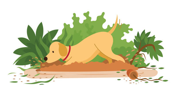 Dog Digging and Destroying Garden vector art illustration