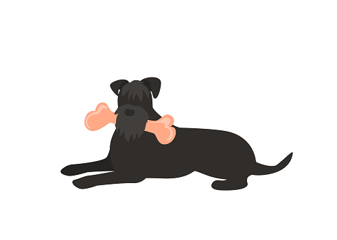 dog eating a bone isolated vector graphic