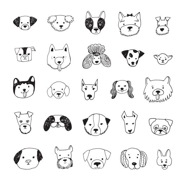 dog face cartoon vector illustrations set dog face cartoon vector doodle hand drawn illustrations set purebred dog stock illustrations