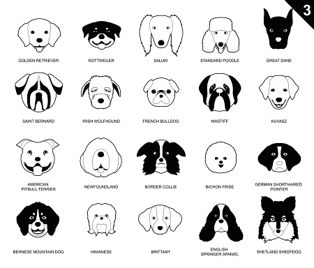 Dog Faces Stroke Monochrome Icon Cartoon 3