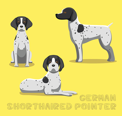 Dog German Shorthaired Pointer Cartoon Vector Illustration