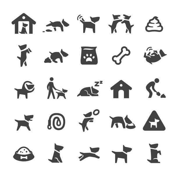ilustraciones, imágenes clip art, dibujos animados e iconos de stock de iconos para perros - smart series - dog