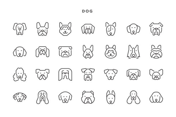 Dog Icons Dog Icons - Vector EPS 10 File, Pixel Perfect 28 Icons. boxer puppies stock illustrations