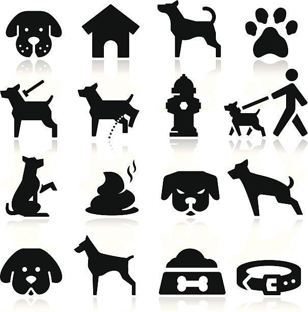 Dog Icons simplified but well drawn Icons, smooth corners no hard edges unless it’s required, no white color only black, the shadow is on a separate layer  guard dog stock illustrations