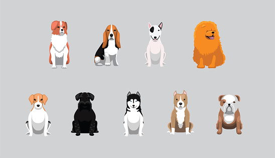 Dog Medium Size Breeds Sitting Cartoon Vector Illustration Set