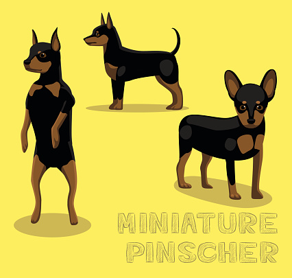 Dog Miniature Pinscher Cartoon Vector Illustration