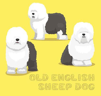 Dog Old English Sheep Dog Cartoon Vector Illustration