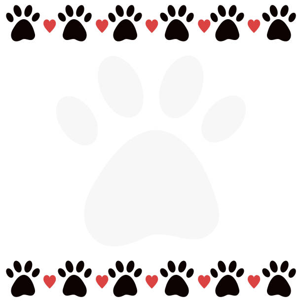 Dog or cat paw border blank with hearts and big transparent paw silhouette. Template design with copy space for pet shops, adoption, veterinary certificates. Vector printable banner with place for text Dog or cat paw border blank with hearts and big transparent paw silhouette. Template design with copy space for pet shops, adoption, veterinary certificates. Vector printable banner with place for text dog borders stock illustrations