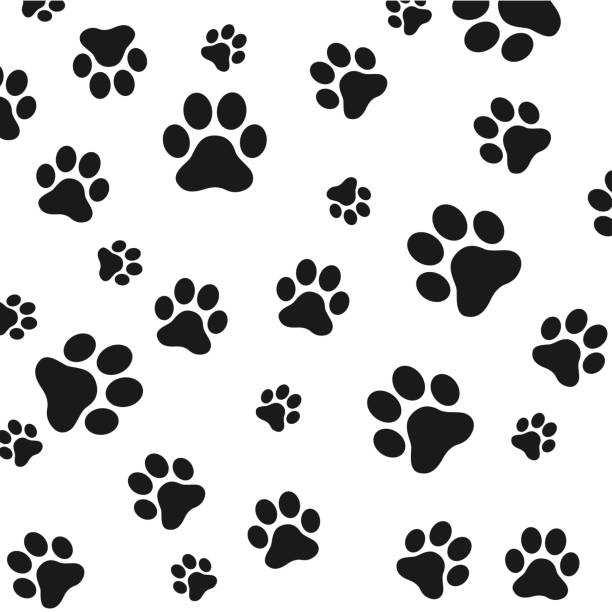 stockillustraties, clipart, cartoons en iconen met hond poten vector voetafdrukken pictogram franse bulldog cartoon karakter afbeelding doodle ontwerp - bulldog