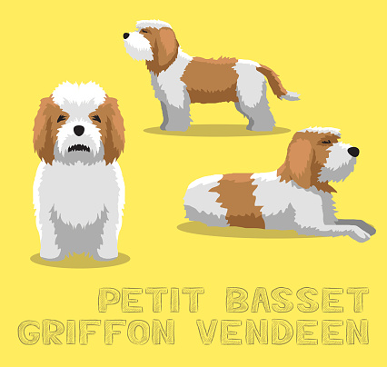 Dog Petit Basset Griffon Vendeen Cartoon Vector Illustration