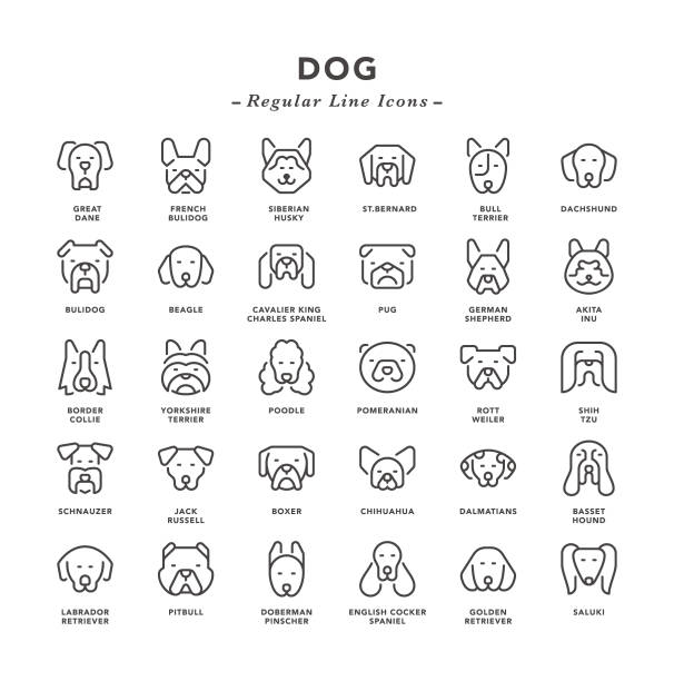 ilustrações de stock, clip art, desenhos animados e ícones de dog - regular line icons - golden retriever