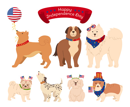 Dog set American Independence Day patriotic us pet
