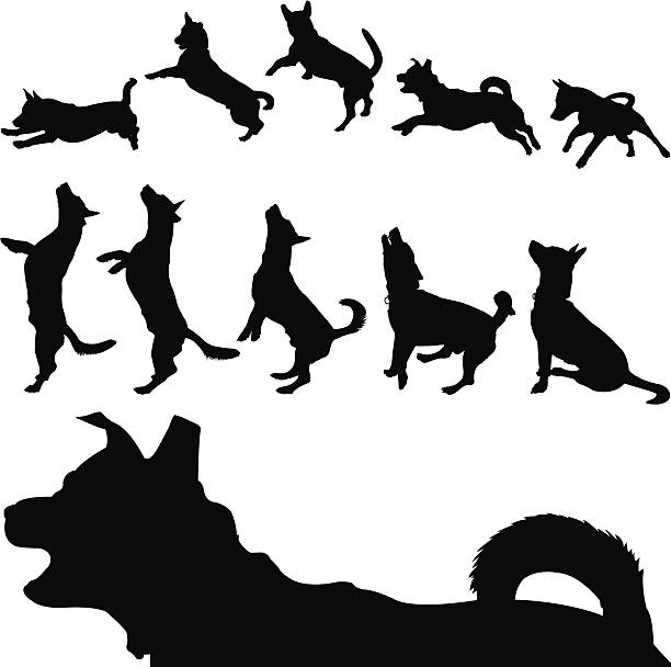 Dog Silhouette Series This playful dog is full of energy, virtually leaping off the screen. This file has been layered and grouped neatly for easy editing. This download contains an editable EPS file, as well as a large JPG file. dog silhouettes stock illustrations