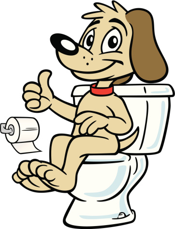 Dog Sitting On Toilet