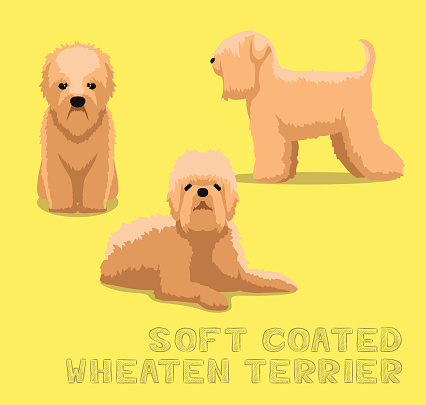 Dog Soft Coated Wheaten Terrier Cartoon Vector Illustration