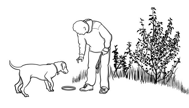 Dog Training With Frisbee Man playing with his dog and teaching him to be disciplined.  vector illustration frisbee clipart stock illustrations