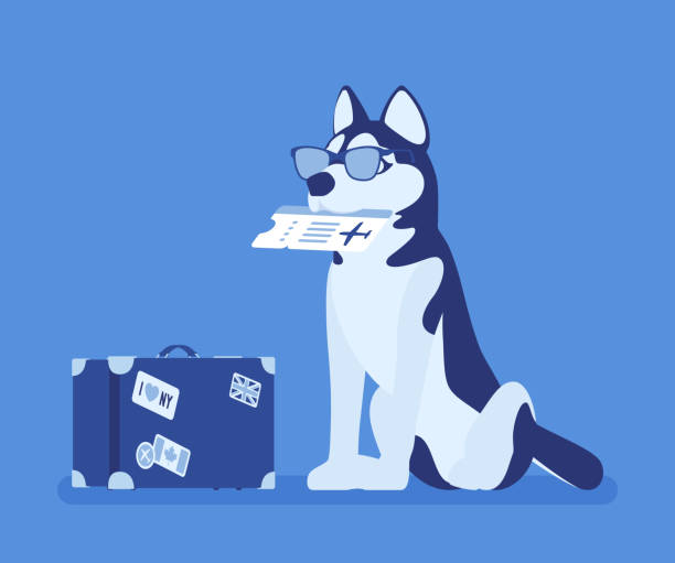 Dog travel, cute pet with airline ticket and travelling bag Dog travel, cute pet with airline ticket and travelling bag. Puppy in sunglasses waiting for flight abroad, support or therapy animal for traveler on airplanes. Vector illustration safe move stock illustrations