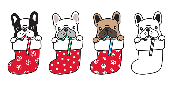 Dog Vector French Bulldog Christmas Sock Candy Cane Xmas Santa Claus