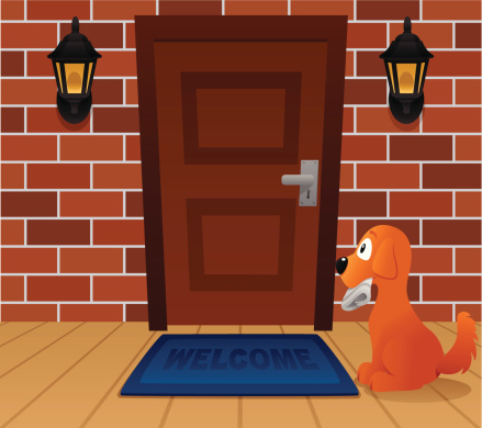 Dog waiting at front door