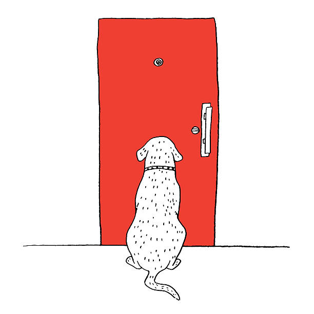 Dog Waiting The other side of the door you have a family waiting for your return home. dog drawings stock illustrations