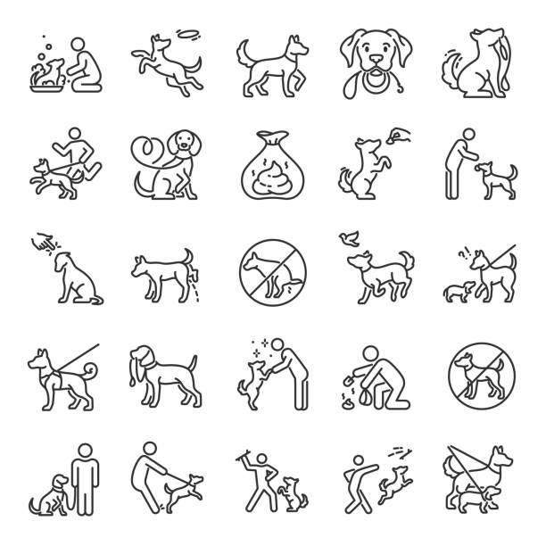 ilustrações, clipart, desenhos animados e ícones de passeio de cachorro, conjunto de ícones. cachorro em uma coleira com o dono, ícones lineares. limpe depois do seu cachorro. brincando com um animal de estimação. traçado editável - dog