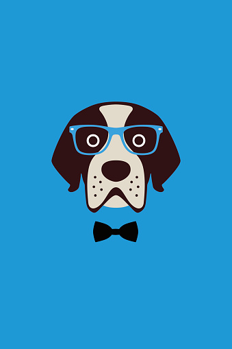 dog wear glasses and bowknot like a Gentlemen
