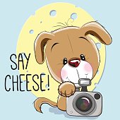 Cute cartoon Puppy with a camera on a gray background