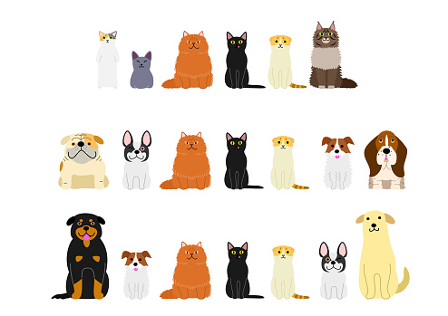 dogs and cats border set