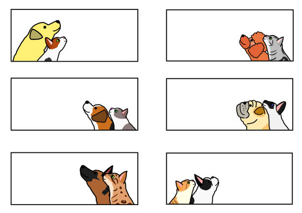 psy i koty patrząc w górę profil banner zestaw - bengals stock illustrations