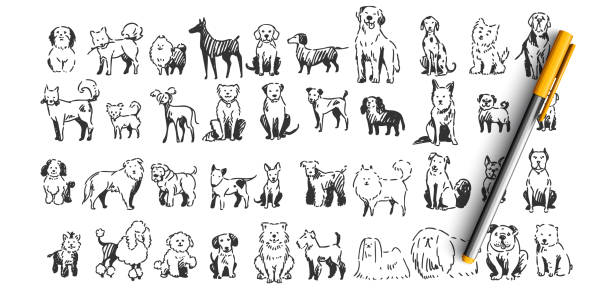 Dogs doodle set Dogs doodle set. Collection of hand drawn pencil ink drawing sketches templates patterns of domestic animals puppies dolmatins chihuahua pug spitz pets on white background. Human friends illustration. dog drawings stock illustrations