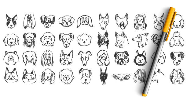 Dogs doodle set Dogs doodle set. Collection of hand drawn pencil ink drawing sketches templates patterns of domestic animals puppies dolmatins chihuahua pug spitz pets muzzles. Human friends illustration. boxer puppy stock illustrations