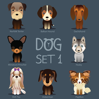 Dogs Set 1. Vector breed of dogs