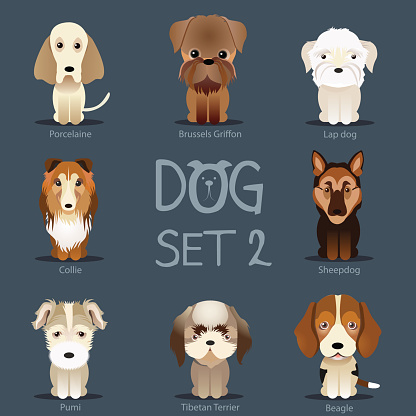 Dogs Set 2. Vector breed of dogs