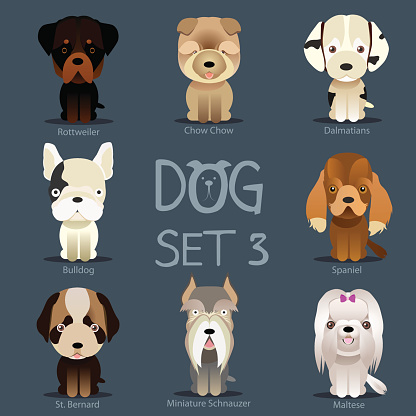 Dogs Set 3. Vector breed of dogs