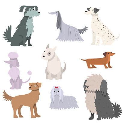 Collection of funny cartoon illustrations with different breeds of dogs. Colorful raster flat isolated icons set on white background