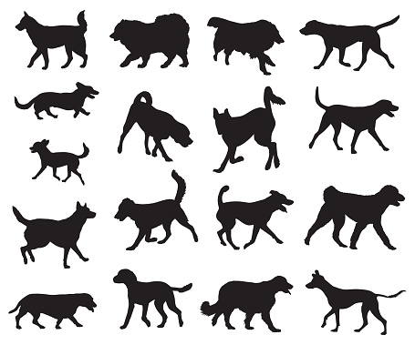 Vector illustration of seventeen walking and running dog silhouettes..