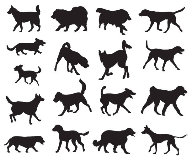 Dogs Walking and Running Silhouettes Vector illustration of seventeen walking and running dog silhouettes.. dog silhouettes stock illustrations