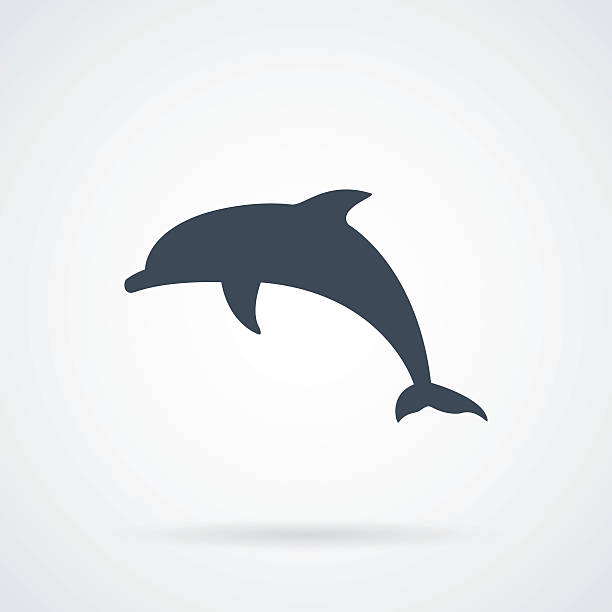 Dolphin black Silhouette vector illustration Dolphin black Silhouette isolated vector illustration with a shadow dolphin stock illustrations