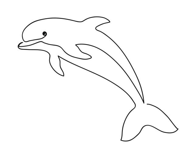 Dolphin. Continious one line art drawing. Cute animal contoure silhouette. Black and white logo. Vector modern outline illustration Dolphin. Continious one line art drawing. Cute animal contoure silhouette. Black and white logo. Vector modern outline illustration dolphin stock illustrations